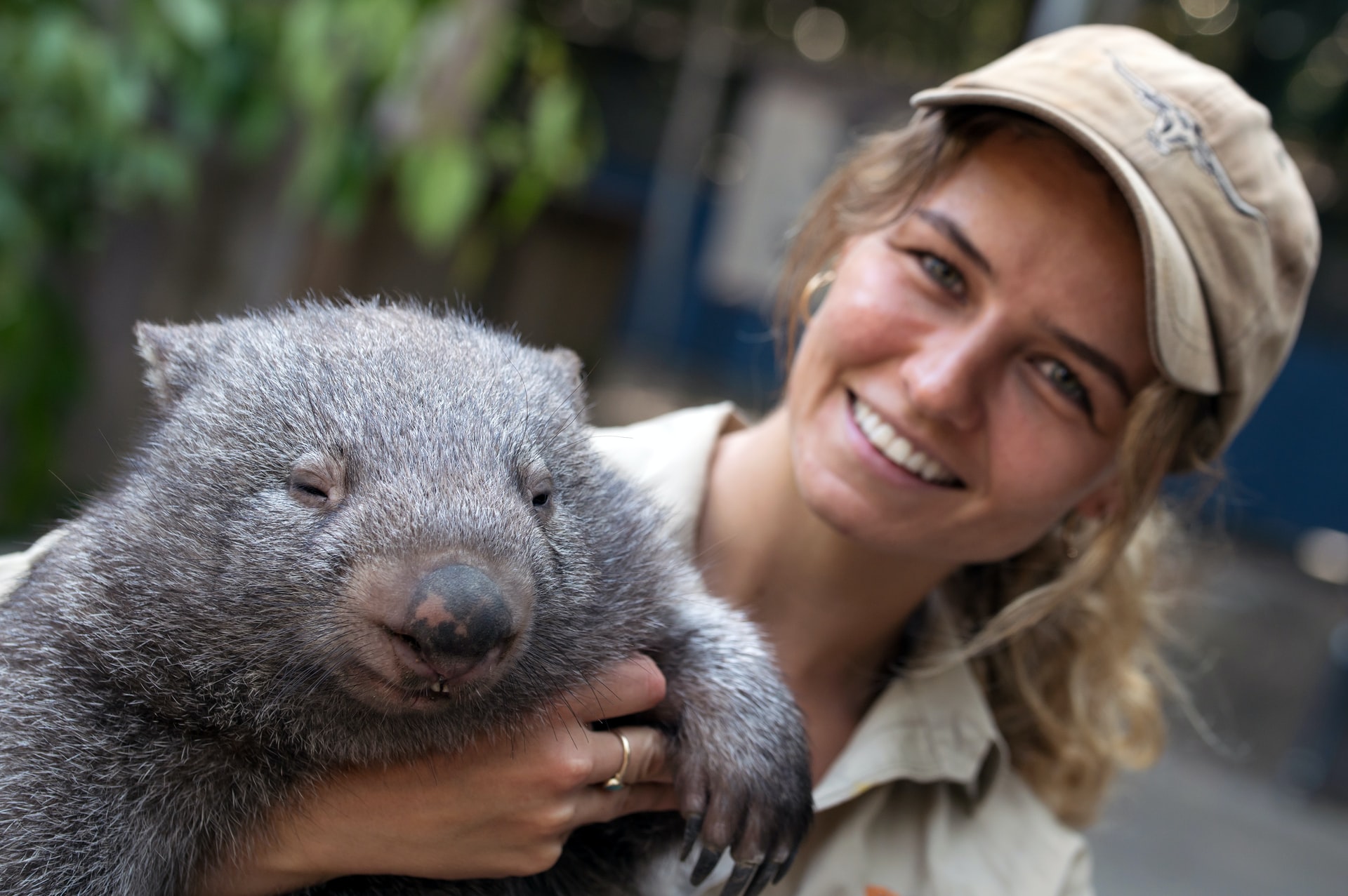 Wombats are the cutest animal alive. They poop square, which they use to mark own territory. But humans have flags and bulldozers, which easily win over poop. Photo by @davidclode on Unsplash